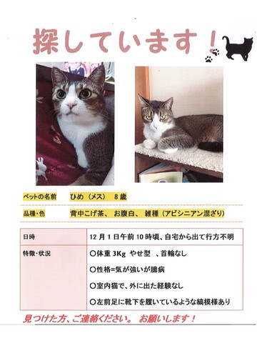 お知らせ  Pet Clinic アニホス